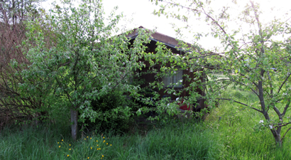 Foto © by Burkhart Rüchel