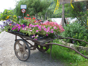 Foto © by Burkhart Rüchel