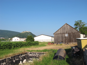 Foto © by Burkhart Rüchel