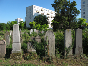 Foto © by Burkhart Rüchel