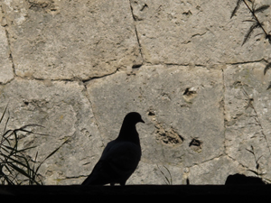 Foto © by Burkhart Rüchel