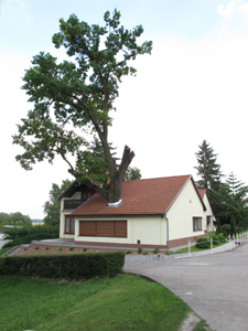 Foto © by Burkhart Rüchel
