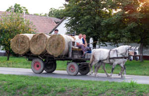 Foto © by Burkhart Rüchel