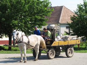 Foto © by Burkhart Rüchel