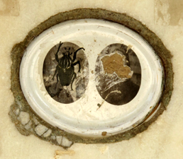 Foto © by Burkhart Rüchel