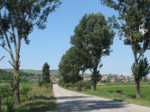 Foto © by Burkhart Rüchel
