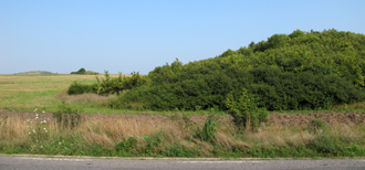 Foto © by Burkhart Rüchel