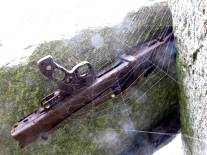 Foto © by Burkhart Rüchel